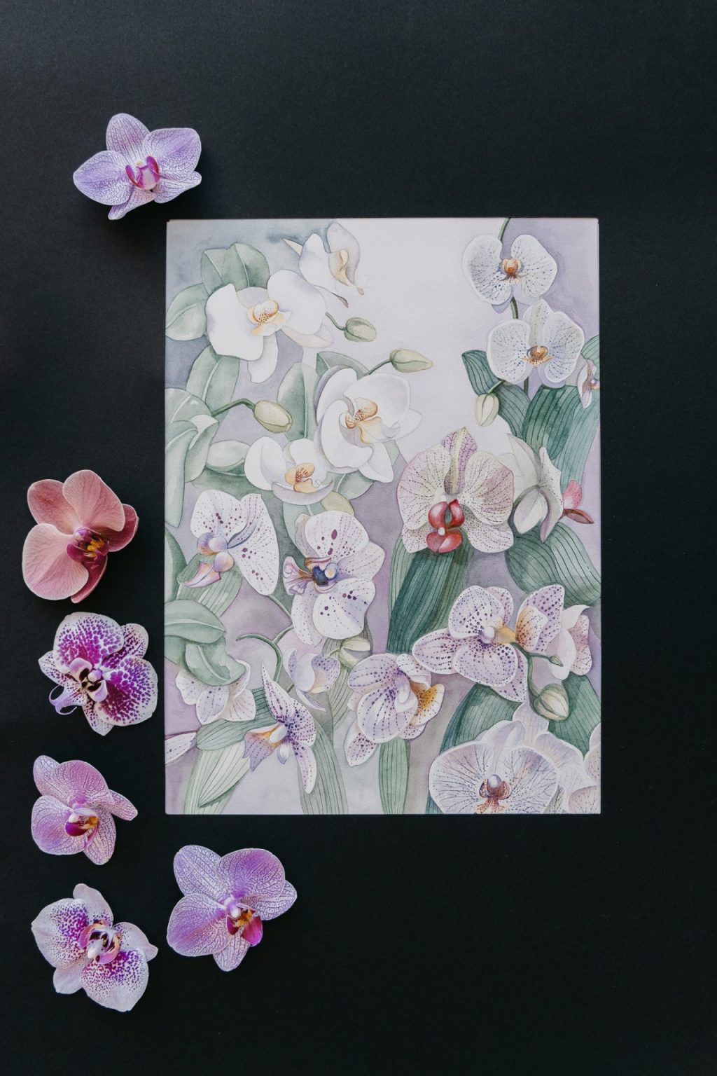 aquarells of purple flowers