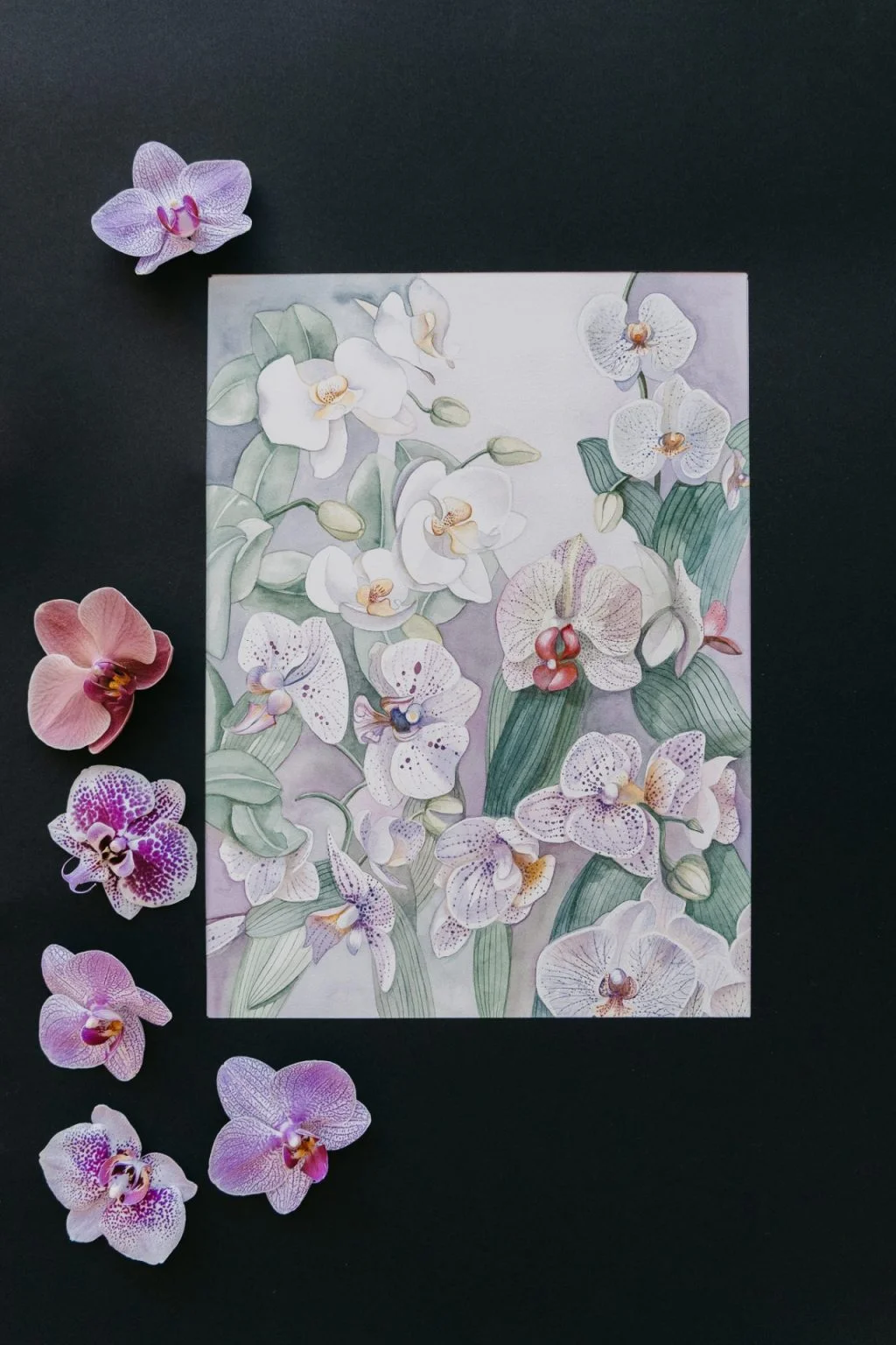 aquarells of purple flowers