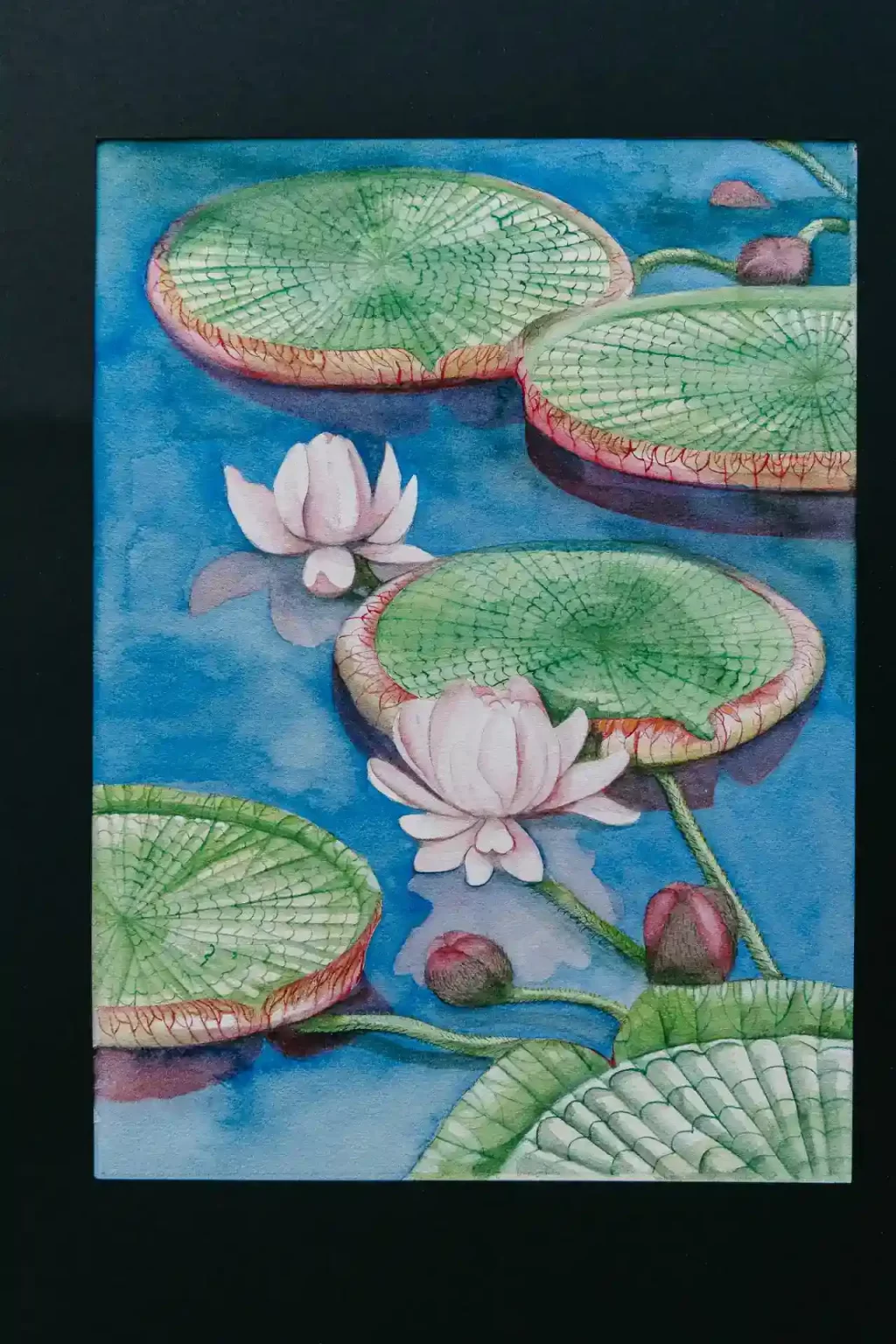 water and roses