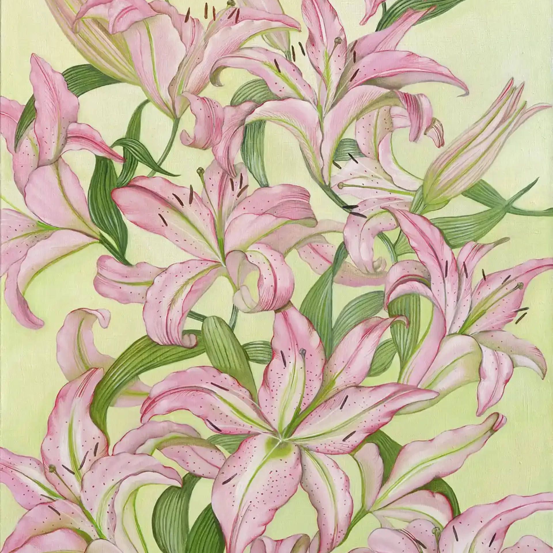 painting of pink irises