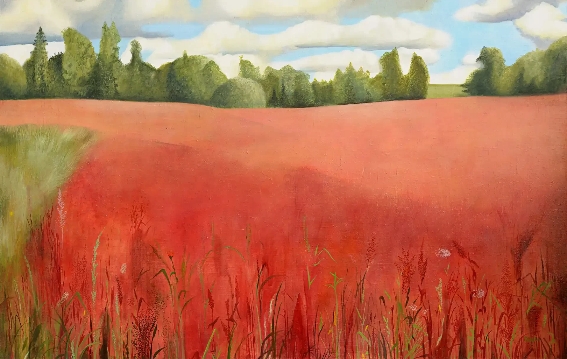 paintings of red poppy field