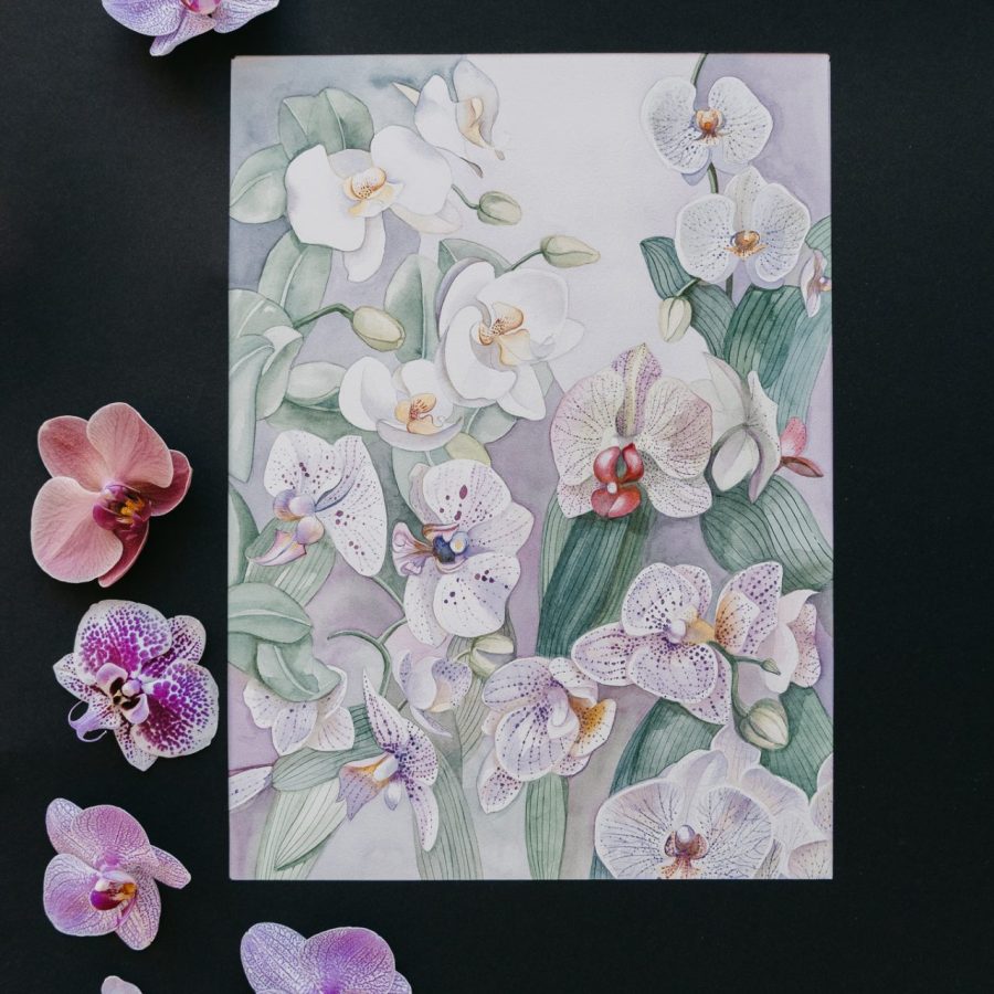 aquarells of purple flowers
