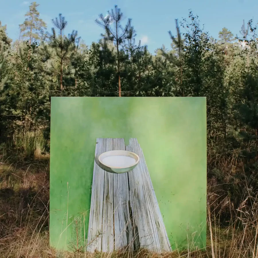 painting of a bowl on wood table in woods