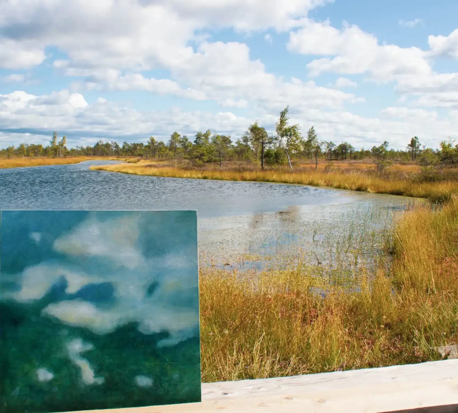 paintings of sky in nature