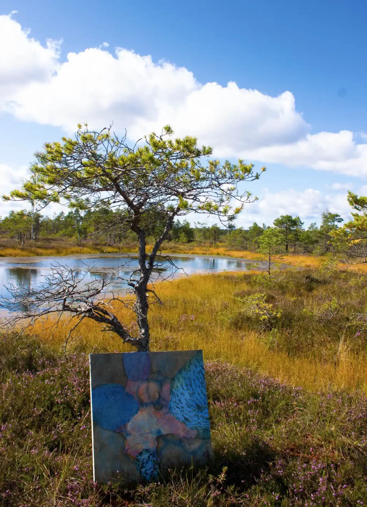 abstract paintings of rocks and water in nature